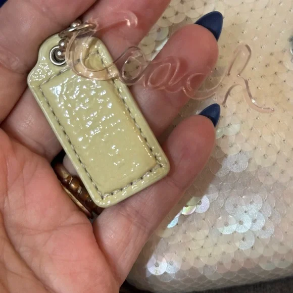 Coach Poppy Sequin Special Edition Crossbody (Multi) - NWOT - Picture 9 of 11